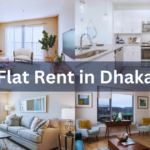 Flat Rent in Dhaka